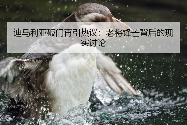 迪马利亚破门再引热议：老将锋芒背后的现实讨论
